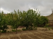 Satılır 4 sot torpaq Binə