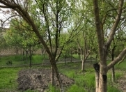 Satılır 4 otaqlı 144 m2 həyət evi Xudat