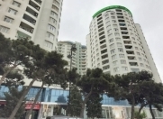 Satılır 4 otaqlı 485 m2 yeni tikili Sirk