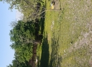 Satılır 10 sot torpaq Qəbələ