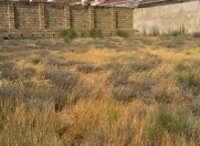 Satılır 3 sot torpaq Badamdar