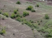 Satılır 15000 sot torpaq Şəki