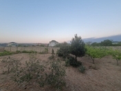 Satılır 2 otaqlı 45 m2 həyət evi Saray