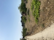 Satılır 10 sot torpaq Pirşağı