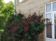 Satılır 6 otaqlı 235 m2 bağ evi Şamaxı