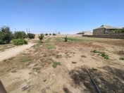 Satılır 30 sot torpaq Türkan