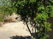 Satılır 6 sot torpaq Xəzər r.