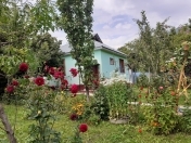 İcarəyə verilir 2 otaqlı 50 m2 həyət evi Qəbələ