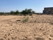 Satılır 25 sot torpaq Nardaran