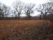 Satılır 77 sot torpaq Xaçmaz