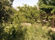 Satılır 6 sot torpaq Saray