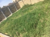Satılır 2 sot torpaq Mehdiabad