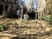 Satılır 3.5 sot torpaq Qaraçuxur