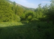 Satılır 6 otaqlı 120 m2 həyət evi Şamaxı