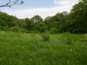 Satılır 40 sot torpaq Xızı