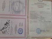 Satılır 24 sot torpaq Novxanı