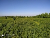 Satılır 40 sot torpaq Quba