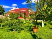 İcarəyə verilir 4 otaqlı 300 m2 bağ evi Saray