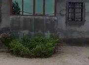 Satılır 4 otaqlı 110 m2 həyət evi Qala