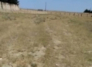 Satılır 24 sot torpaq Novxanı