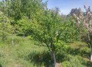 Satılır 4 otaqlı 190 m2 həyət evi Zabrat 1