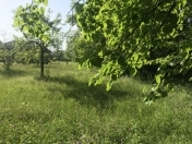 Satılır 70 sot torpaq Qəbələ