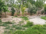 Satılır 2.2 sot torpaq Xocəsən