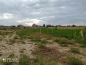 Satılır 175 sot torpaq Bilgəh