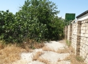 Satılır 12 sot torpaq Bilgəh