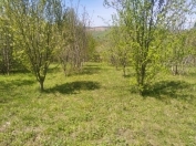 Satılır 5 sot torpaq Quba