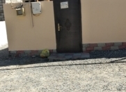 Satılır 2 otaqlı 60 m2 həyət evi Masazır