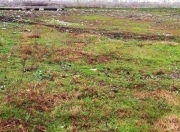 Satılır 1500 sot torpaq Binə