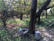 Satılır 8 sot torpaq Qusar