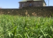 Satılır 3 sot torpaq Novxanı