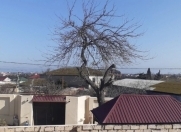 Satılır 12 otaqlı 450 m2 həyət evi Şağan