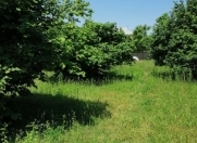 Satılır 20 sot torpaq Balakən