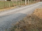 Satılır 24 sot torpaq Qəbələ