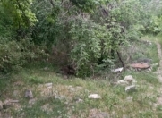 Satılır 6 sot torpaq İsmayıllı