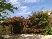 Satılır 5 otaqlı 140 m2 həyət evi Binə