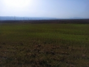 Satılır 1000 sot torpaq Xızı