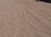 Satılır 9.5 sot torpaq Absheron Marriott otel