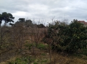 Satılır 3 sot torpaq Maştağa