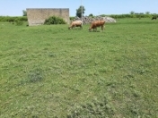 Satılır 11 sot torpaq Fatmayı