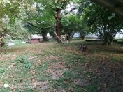 Satılır 10 sot torpaq Qəbələ