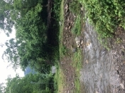 Satılır 12 sot torpaq Oğuz