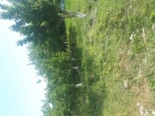 Satılır 6 sot torpaq Mingəçevir