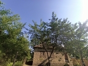 Satılır 3 otaqlı 80 m2 bağ evi Xaçmaz