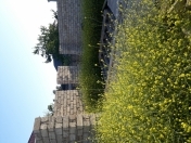 Satılır 6 sot torpaq Buzovna