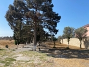 Satılır 55 sot torpaq Şüvəlan