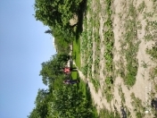 Satılır 5 sot torpaq Sulutəpə